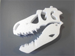 発泡スチロールで作成した恐竜の頭蓋骨